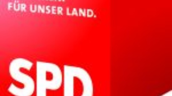 SPD Logo Würfel